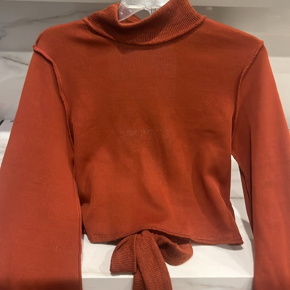 Lulus Rust Crop Sweater - Picture 4 of 5